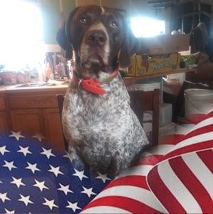 Meet your Posher, Jim